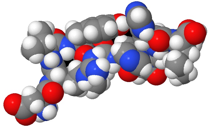 Picture 3.2: The molecule 1N9U with Van der Waals radii <br />visualized with Jmol.