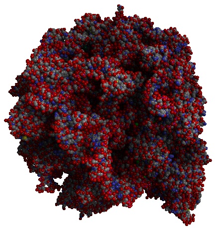 Picture 3.5: Large structure (99319 atoms) visualized <br />with viewer from bachelor/master thesis<br /> (SSAO + soft shadows enabled; PDB ID: 3I55).