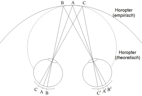 Abbildung 7: Korrespondierende Netzhautstellen auf dem Horopter (nach Jäger 2013)
