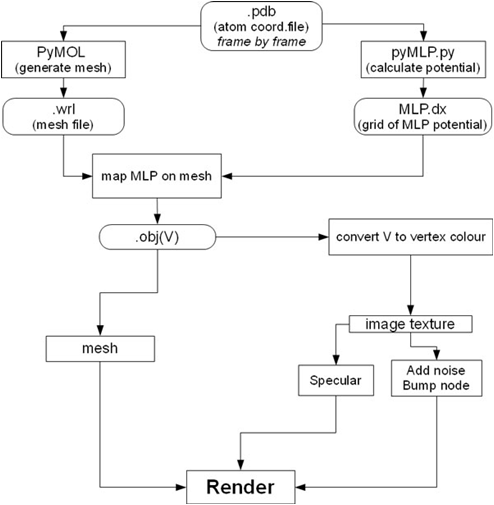 Figure 3 MLP calculus and representation.png