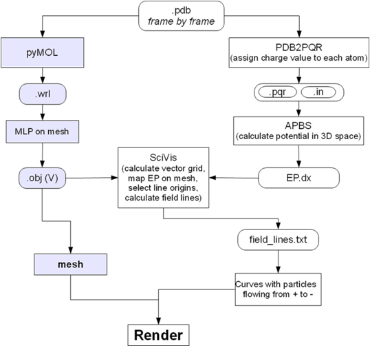 Figure 4 EP calculus and representation.png